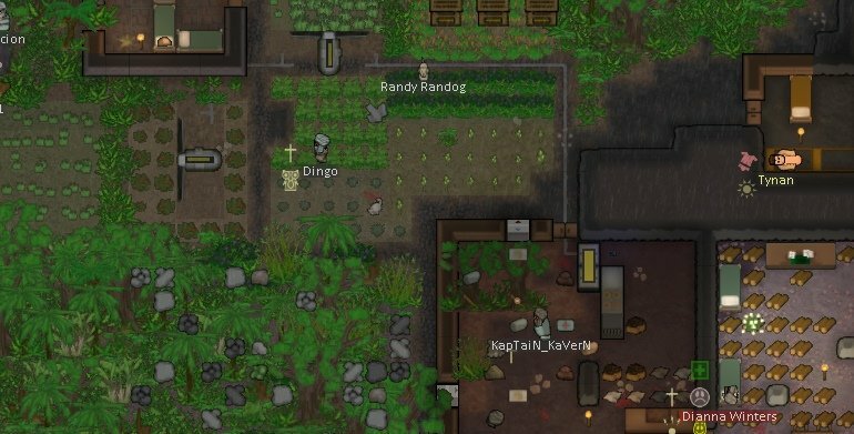 Rimworld мод TropiCKAPP Rainforest